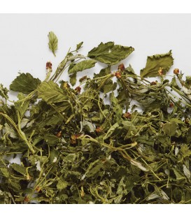 TISANE DE FEUILLE  FRAMBOISIER 15 GR