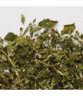 TISANE DE FEUILLE  FRAMBOISIER 15 GR