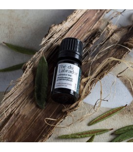 LABRADOR TEA ESSENTIAL OIL 5 ML