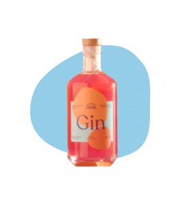 GIN SANS ALCOOL 700 ML