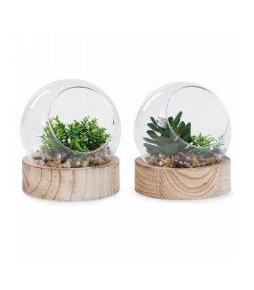 TERRARIUM BOULE BASE EN BOIS 4X5''