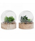 TERRARIUM BOULE BASE EN BOIS 4X5''