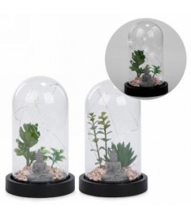 TERRARIUM WITH LED LIGHT 4X7''