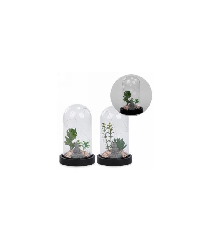 Terrarium with led sales lights