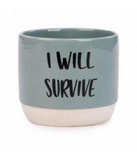 POT VERT EN CÉRAMIQUE I WILL SURVIVE