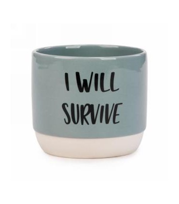 POT VERT EN CÉRAMIQUE I WILL SURVIVE