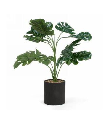 LEAF PLANT IN A BLACK POT 18''H