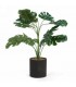 LEAF PLANT IN A BLACK POT 18''H