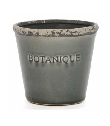 CACHE-POT BOTANIQUE 5X5''