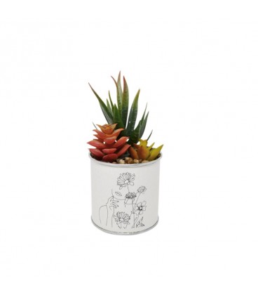 ARTIFICIAL PLANTS POT WITH FACE 8X8X15CM