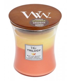 MEDIUM CRACKLING CANDLE WOODWICK TRILOGY TROPICAL SUNRISE