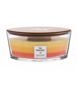 ELLIPSE CRACKLING CANDLE WOODWICK TRILOGY TROPICAL SUNRISE