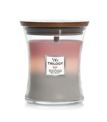 MEDIUM CRACKLING CANDLE WOODWICK TRILOGY SHORLINE