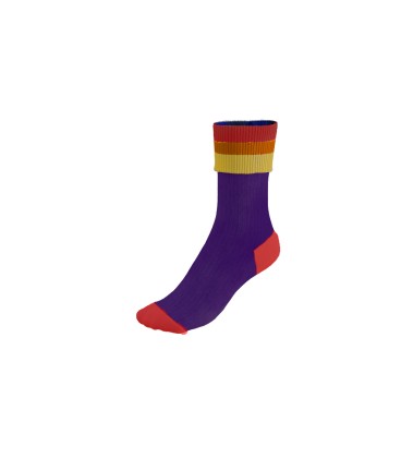 The super rainbow socks POOK