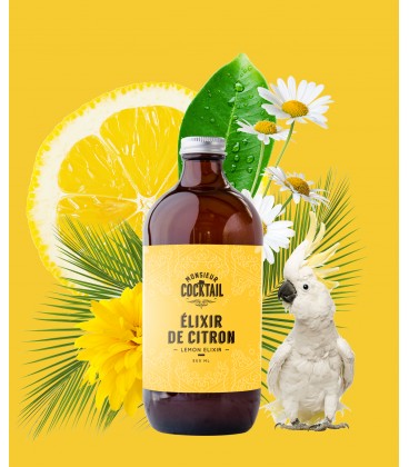 Lemon Elixir - Monsieur Cocktail