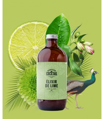 Élixir de Lime  - Monsieur Cocktail