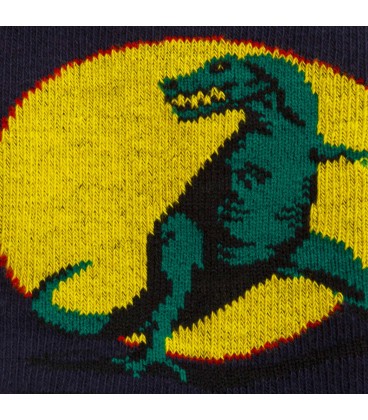 Youth socks T-Rex