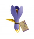 Measuring Set CROCUS