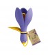 Measuring Set CROCUS