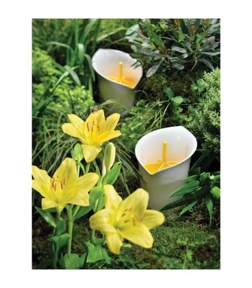 Ustensil pot LILY