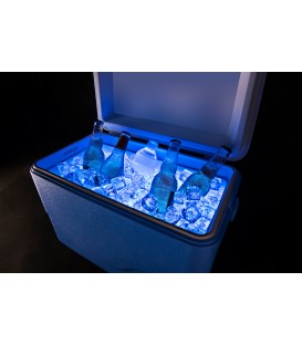 Lumières pour glacière COOLER BRIGHTZ