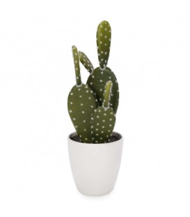 Cactus in a pot