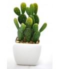 Cactus en pot blanc ROCK
