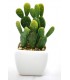 Cactus en pot blanc ROCK