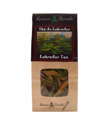 Labrador Tea