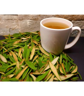 Labrador Tea 20g