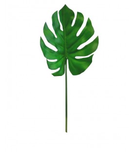 Philodendron GREEN