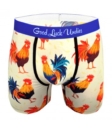 Boxer Coq