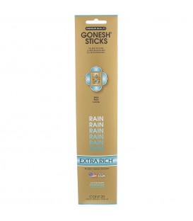 Encens Rain paquet de 20