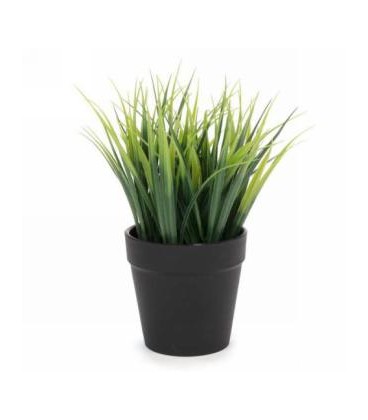 Deco grass plant in black pot