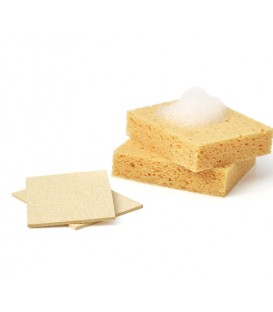 Compostable Sponges