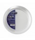 10 '' plastic plates - pkg6