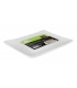 Serving trays 7x9-pkg 3